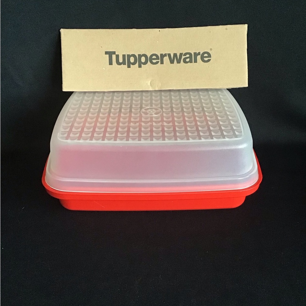 New Tupperware Season Serve/Marinate Container